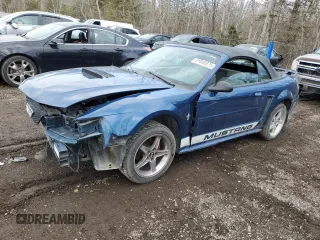2000 Ford Mustang with VIN 1FAFP4442YF213444, listed as a Copart auction lot 51040875 with 124,925 mi miles and Salvage Title. Bid and sale history available at carsss.com. Image 1.