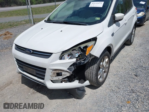 2013 Ford Escape SE with VIN 1FMCU0G90DUB37052, listed as a IAAI auction lot 42132973 with 169,975 mi miles and . Bid and sale history available at DreamBid. Image 6.