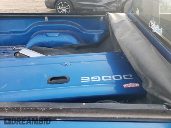 1999 Dodge Dakota SLT with VIN 1B7FL26X7XS241330, listed as a Copart auction lot 78123864 with 218,849 mi miles and Salvage Title. Bid and sale history available at carsss.com. Image 10.