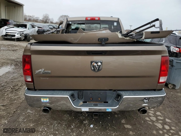 2010 Dodge Ram 1500 SLT with VIN 1D7RB1GT0AS165095, listed as a Copart auction lot 49572775 with 0 mi miles and Non Repairable. Bid and sale history available at carsss.com. Image 6.