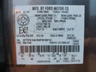 2009 Ford F-150 XL with VIN 1FTPX14V39FB18012, listed as a Copart auction lot 60127295 with 156,692 mi miles and Clean title. Bid and sale history available at DreamBid. Image 12.