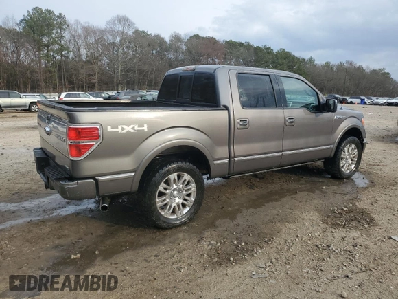 2010 Ford F-150 XL with VIN 1FTFW1EV8AFA22412, listed as a Copart auction lot 42259025 with 249,847 mi miles and Salvage title. Bid and sale history available at DreamBid. Image 3.