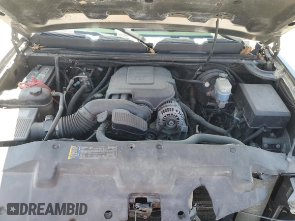 2009 Chevrolet Silverado 1500 LT with VIN 3GCEK23379G230726, listed as a Copart auction lot 50151605 with 203,726 mi miles and Salvage Title. Bid and sale history available at DreamBid. Image 11.