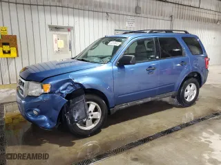 2010 Ford Escape XLT with VIN 1FMCU9DG6AKD30577, listed as a Copart auction lot 53374645 with 223,391 mi miles and Salvage Title. Bid and sale history available at carsss.com. Image 1.