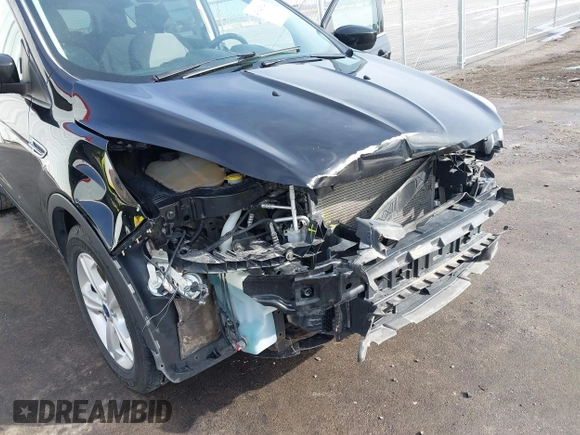 2016 Ford Escape SE with VIN 1FMCU9G90GUB25458, listed as a IAAI auction lot 41643349 with 158,439 mi miles and . Bid and sale history available at DreamBid. Image 6.
