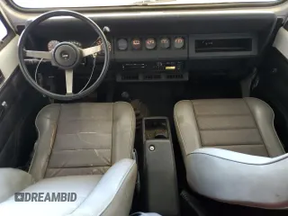 1995 Jeep Wrangler with VIN 1J4FY29SXSP309742, listed as a Copart auction lot 82399484 with 167,866 mi miles and Salvage Title. Bid and sale history available at carsss.com. Image 8.