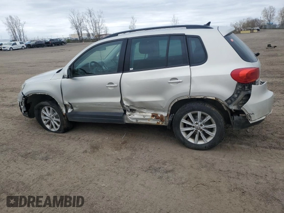 2013 Volkswagen Tiguan S with VIN WVGJV3AX0DW561431, listed as a Copart auction lot 55918795 with 246,907 mi miles and Salvage title. Bid and sale history available at DreamBid. Image 2.