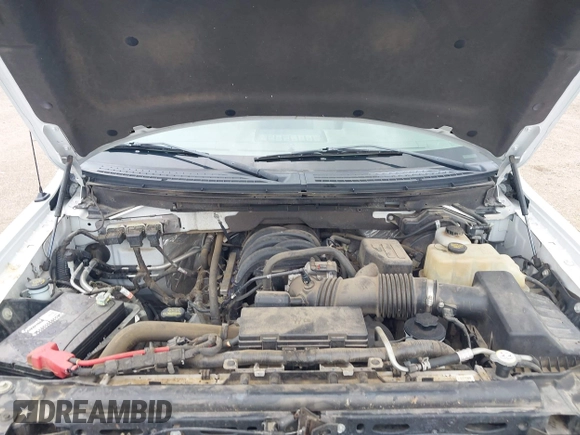 2010 Ford F-150 XL with VIN 1FTEW1E81AFD42774, listed as a IAAI auction lot 42224876 with 77,415 mi miles and . Bid and sale history available at DreamBid. Image 10.