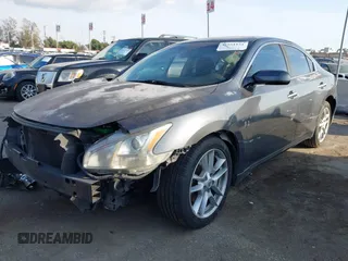 2009 Nissan Maxima SV with VIN 1N4AA51E89C827075, listed as a IAAI auction lot 41551131 with 203,304 mi miles and . Bid and sale history available at DreamBid. Image 2.