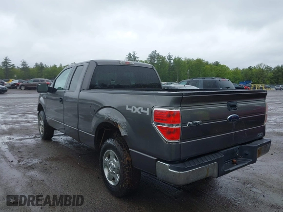 2009 Ford F-150 STX with VIN 1FTRX14879FB19313, listed as a IAAI auction lot 42329994 with 122,083 mi miles and . Bid and sale history available at DreamBid. Image 3.