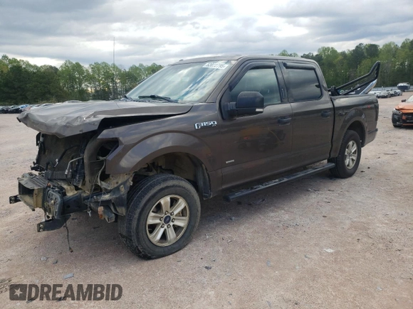 2015 Ford F-150 XLT with VIN 1FTEW1EP3FFC87968, listed as a Copart auction lot 52022795 with 204,904 mi miles and Salvage Title. Bid and sale history available at carsss.com. Image 1.