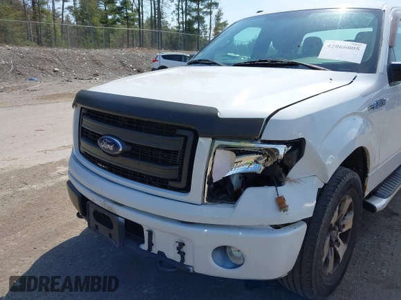2013 Ford F-150 XL with VIN 1FTFX1EF8DFD61083, listed as a IAAI auction lot 42066005 with 203,918 mi miles. Bid and sale history available at carsss.com. Image 6.