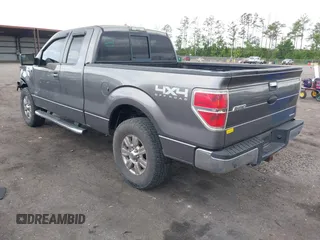 2011 Ford F-150 XL with VIN 1FTFX1EF0BFB60419, listed as a IAAI auction lot 42436655 with 211,359 mi miles and . Bid and sale history available at DreamBid. Image 3.