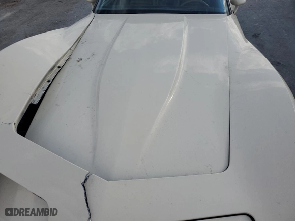 1981 Chevrolet Corvette with VIN 1G1AY8760BS419326, listed as a Copart auction lot 74043084 with 43,951 mi miles and Clean Title. Bid and sale history available at carsss.com. Image 11.