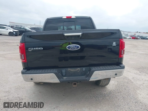 2016 Ford F-150 XLT with VIN 1FTEW1EG3GKD51340, listed as a IAAI auction lot 41689959 with 166,725 mi miles. Bid and sale history available at carsss.com. Image 16.