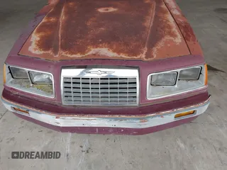 1984 Ford Thunderbird with VIN 1FABP4630EA111572, listed as a IAAI auction lot 41569309 with 7,919 mi miles and . Bid and sale history available at DreamBid. Image 12.