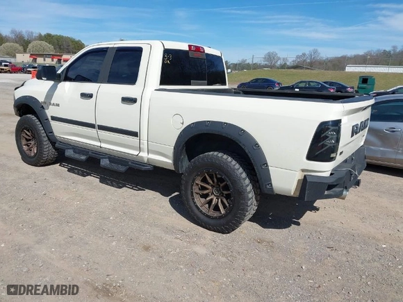 2010 Dodge Ram 1500 SLT with VIN 1D7RV1GT5AS227551, listed as a IAAI auction lot 41829058 with 123,397 mi miles. Bid and sale history available at carsss.com. Image 3.