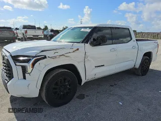 2023 Toyota Tundra SR5 with VIN 5TFLA5DB9PX101557, listed as a Copart auction lot 60339305 with 66,639 mi miles and Clean title. Bid and sale history available at DreamBid. Image 1.