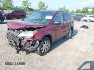 2009 Honda CR-V EX z VIN 5J6RE48519L026239, wystawiony jako IAAI lot #42368689 z przebiegiem 244 794 mil mil oraz . Historia ofert i sprzedaży dostępna na DreamBid. Obrazek 2.