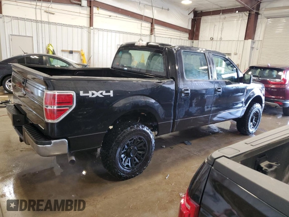 2013 Ford F-150 XL with VIN 1FTFW1EF4DFD78434, listed as a Copart auction lot 53124965 with 184,304 mi miles and Non Repairable. Bid and sale history available at carsss.com. Image 3.