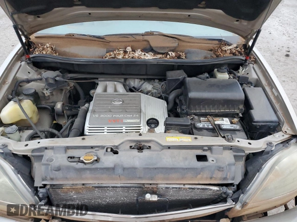 1999 Lexus RX 300 Luxury SUV with VIN JT6HF10U3X0054517, listed as a Copart auction lot 87036024 with 0 mi miles and Salvage Title. Bid and sale history available at carsss.com. Image 14.
