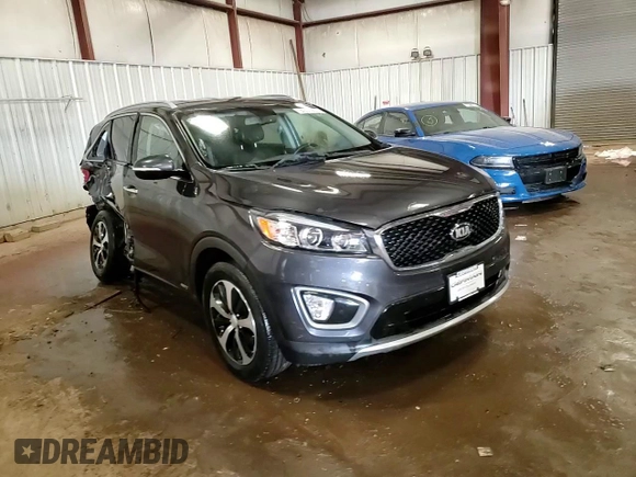 2016 Kia Sorento EX with VIN 5XYPHDA18GG028395, listed as a Copart auction lot 49079815 with 125,643 mi miles and Salvage Title. Bid and sale history available at DreamBid. Image 14.