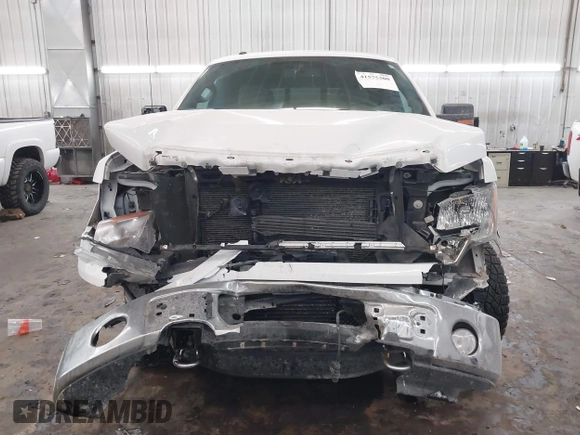 2014 Ford F-150 XL with VIN 1FTFX1ET9EFA62502, listed as a IAAI auction lot 41575300 with 123,698 mi miles and . Bid and sale history available at DreamBid. Image 12.