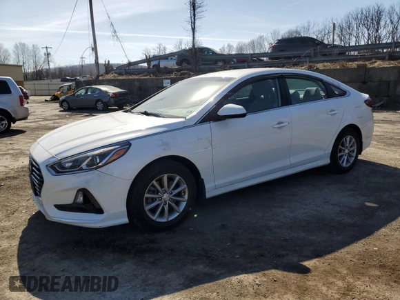 2019 Hyundai Sonata SE with VIN 5NPE24AF5KH813480, listed as a Copart auction lot 48629485 with 76,752 mi miles and Salvage Title. Bid and sale history available at carsss.com. Image 1.