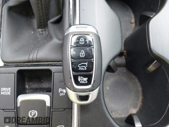 2020 Hyundai Santa Fe Limited with VIN 5NMS53AA1LH288554, listed as a IAAI auction lot 41928520 with 48,816 mi miles and . Bid and sale history available at DreamBid. Image 11.