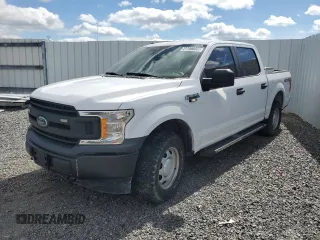 2019 Ford F-150 XL with VIN 1FTEW1E54KKE24495, listed as a Copart auction lot 46077235 with Not provided miles and Non repairable. Bid and sale history available at DreamBid. Image 1.