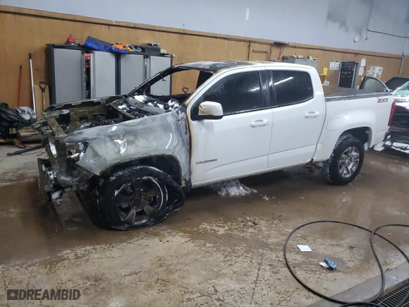 2017 Chevrolet Colorado 2WD Z71 with VIN 1GCGSDE19H1171546, listed as a Copart auction lot 42098005 with 0 mi miles and Non Repairable. Bid and sale history available at carsss.com. Image 1.