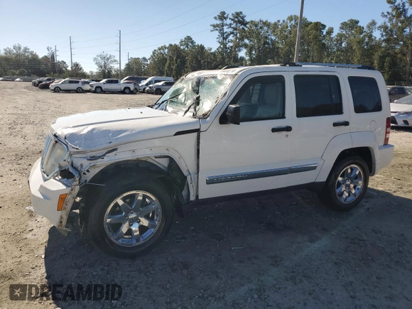 2009 Jeep Liberty Limited with VIN 1J8GP58K99W532086, listed as a Copart auction lot 76028274 with 151,359 mi miles and Salvage Title. Bid and sale history available at carsss.com. Image 1.