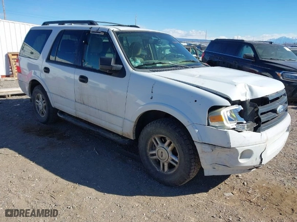 2009 Ford Expedition SSV with VIN 1FMFU16589EA78609, listed as a IAAI auction lot 41501401 with 338,726 mi miles. Bid and sale history available at carsss.com. Image 1.