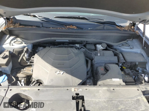 2020 Hyundai Palisade SEL with VIN KM8R4DHE4LU150995, listed as a Copart auction lot 53792915 with 44,181 mi miles and Salvage title. Bid and sale history available at DreamBid. Image 12.