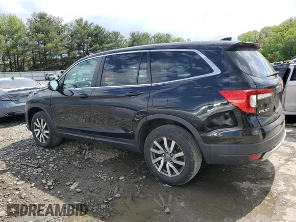 2021 Honda Pilot EX-L with VIN 5FNYF6H56MB088564, listed as a Copart auction lot 53860945 with 41,531 mi miles and Salvage title. Bid and sale history available at DreamBid. Image 2.