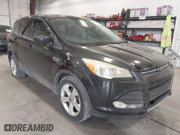 2014 Ford Escape SE with VIN 1FMCU0GX3EUA76540, listed as a IAAI auction lot 41905890 with 233,720 mi miles. Bid and sale history available at carsss.com. Image 1.