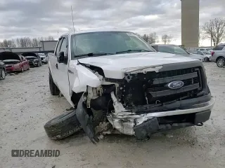 2014 Ford F-150 XL with VIN 1FTFX1EF4EKD82862, listed as a Copart auction lot 46857695 with Not provided miles and Clean title. Bid and sale history available at DreamBid. Image 13.