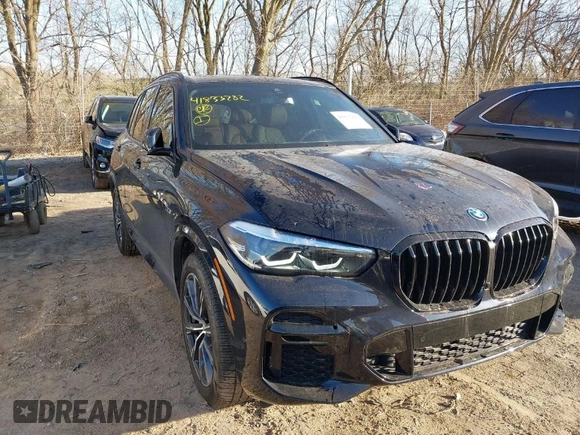 2023 BMW X5 xDrive45e with VIN 5UXTA6C01P9R09426, listed as a IAAI auction lot 41833282 with 17,254 mi miles. Bid and sale history available at carsss.com. Image 1.