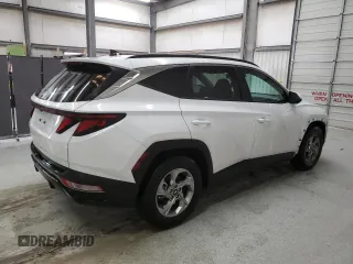 2024 Hyundai Tucson SEL with VIN 5NMJB3DE5RH299570, listed as a Copart auction lot 42302955 with 41,534 mi miles and Clean Title. Bid and sale history available at DreamBid. Image 3.