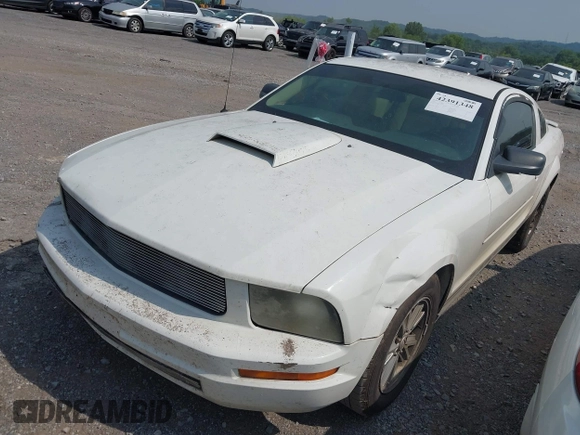 2007 Ford Mustang Deluxe with VIN 1ZVFT80N775312340, listed as a IAAI auction lot 42391348 with Not provided miles and . Bid and sale history available at DreamBid. Image 6.