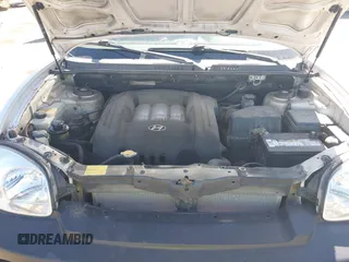 2004 Hyundai Santa Fe GLS with VIN KM8SC73D64U616531, listed as a IAAI auction lot 41841487 with 199,473 mi miles. Bid and sale history available at carsss.com. Image 10.