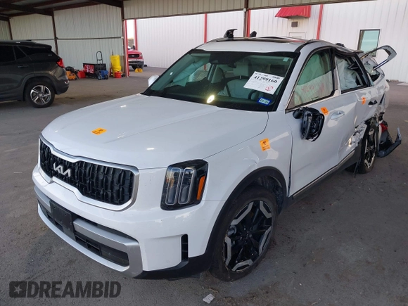 2024 Kia Telluride EX with VIN 5XYP34GC4RG502613, listed as a IAAI auction lot 41299160 with Not Provided miles and . Bid and sale history available at DreamBid. Image 19.