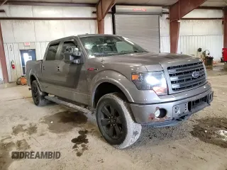 2014 Ford F-150 XL with VIN 1FTFW1ET3EFC87565, listed as a Copart auction lot 49617765 with 159,521 mi miles and Salvage Title. Bid and sale history available at carsss.com. Image 10.