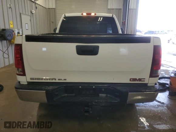 2009 GMC Sierra 1500 with VIN 1GTEK24C49Z239804, listed as a Copart auction lot 41466735 with 175,019 mi miles and Clean Title. Bid and sale history available at DreamBid. Image 6.