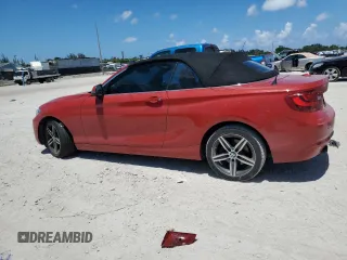 2017 BMW 2 Series 230i with VIN WBA2K9C52HV647199, listed as a Copart auction lot 61074605 with 53,876 mi miles and Salvage title. Bid and sale history available at DreamBid. Image 2.