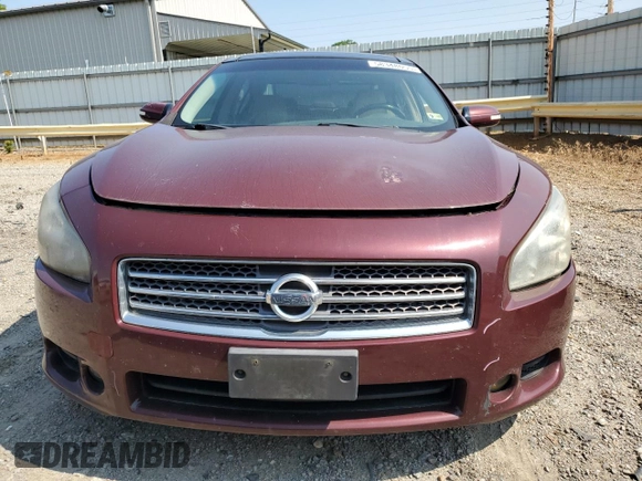 2010 Nissan Maxima SV with VIN 1N4AA5AP8AC837983, listed as a Copart auction lot 58348055 with 217,023 mi miles and Salvage title. Bid and sale history available at DreamBid. Image 5.