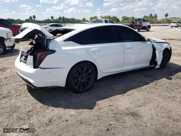 2021 Cadillac CT5 V-Series with VIN 1G6DR5RW9M0134624, listed as a Copart auction lot 67149673 with 0 mi miles. Bid and sale history available at carsss.com. Image 3.