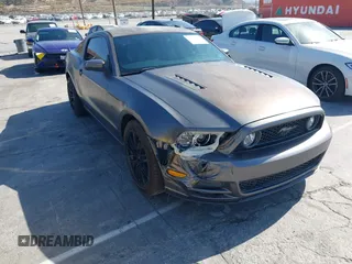 2013 Ford Mustang GT with VIN 1ZVBP8CF0D5247978, listed as a IAAI auction lot 42555516 with 111,562 mi miles and . Bid and sale history available at DreamBid. Image 1.