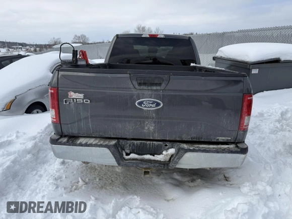 2016 Ford F-150 XLT with VIN 1FTFW1EFXGFA74075, listed as a Copart auction lot 46610525 with Not Provided miles and Salvage Title. Bid and sale history available at carsss.com. Image 6.