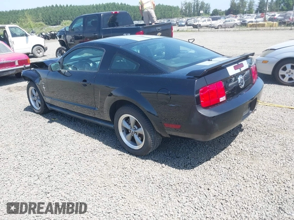 2006 Ford Mustang Standard with VIN 1ZVFT80N065182187, listed as a IAAI auction lot 42453637 with Not provided miles and . Bid and sale history available at DreamBid. Image 3.